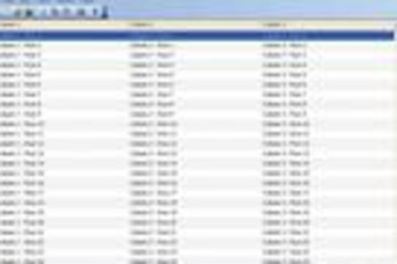 Codejock Report Control预览：